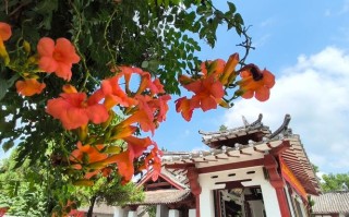 南阳桐柏县天气预报 - 南阳桐柏县天气预报