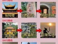 岳阳旅游攻略两日游景点推荐（岳阳2天旅游攻略）