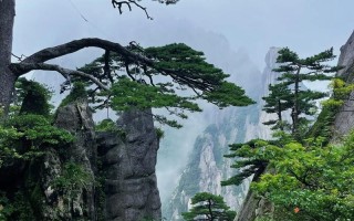 安徽黄山旅游攻略必去景点 - 安徽黄山旅游攻略必去景点推荐