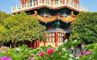 洛阳牡丹景点大全景点排名榜（河南洛阳牡丹旅游景点大全介绍）