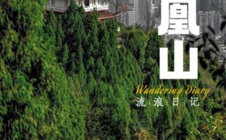 达州凤凰山景点顺序（达州凤凰山游记）