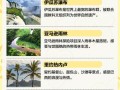巴西旅游攻略，巴西旅游攻略自助游