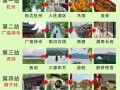 杭州旅游攻略一日游多少钱（杭州旅游攻略一日游多少钱人民币）