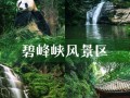 碧峰峡旅游景点门票，碧峰峡旅游景点门票费用