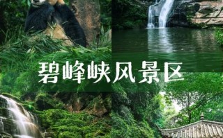 碧峰峡旅游景点门票，碧峰峡旅游景点门票费用