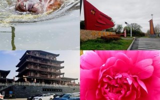 亳州旅游景点大全排名一日游有哪些地方（亳州旅游景点大全景点排名）
