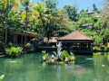 东南亚的旅游（东南亚的旅游胜地有哪些）