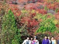 吉林红叶谷在什么地方，吉林红叶谷门票多少钱?