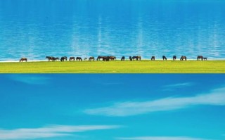 博尔塔拉有什么旅游景点吗（博尔塔拉旅游景点有哪些）