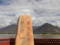 林芝游玩景点推荐 - 林芝好玩景点