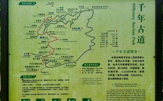 天目山旅游攻略一天游多久啊 - 天目山游玩需要几小时