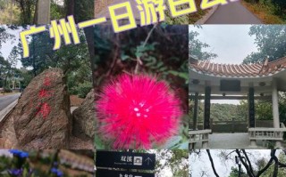 广州白云风景区游玩攻略大全最新（广州白云区风景区门票多少钱）