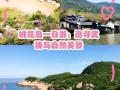 桃花岛一日游日记（桃花岛一日游日记怎么写300字左右）