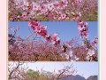平谷自驾一日游，平谷自驾游必去的地方