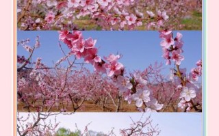 平谷自驾一日游，平谷自驾游必去的地方