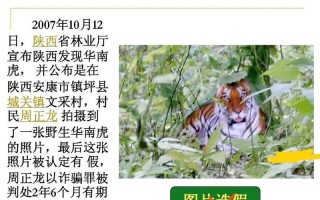 镇坪新闻今天的（镇坪新闻今天的最新消息）