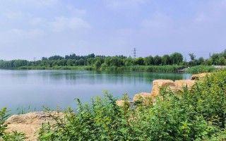 平乡县天气预报30天，平乡县 天气