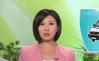tvb新闻主播 - tvb新闻主持