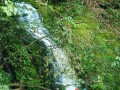 碧峰峡旅游攻略一日游线路，碧峰峡旅游攻略一日游线路怎么走