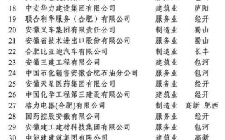 中安在线安徽新闻网，中安在线安徽新闻网一园三种