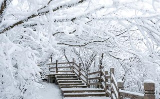 瓦屋山看雪最佳时间，瓦屋山看雪最佳时间是几点