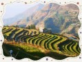 攀枝花最适合养老居住的地方（攀枝花哪个县最适合养老）