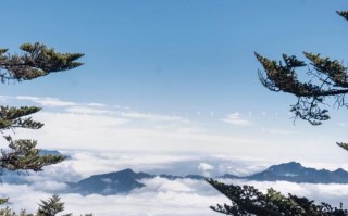 西岭雪山景区的海拔，西岭雪山景区海拔高度