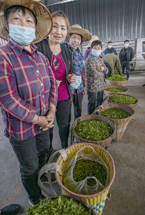 四川雅安天气(雅安未来40天天气预报)-第3张图片 四川雅安天气(雅安未来40天天气预报)-第3张图片