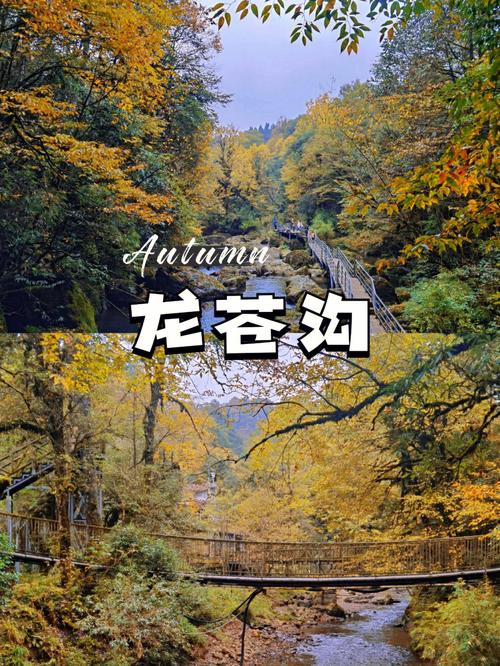 四川雅安天气(雅安未来40天天气预报)-第6张图片 四川雅安天气(雅安未来40天天气预报)-第6张图片