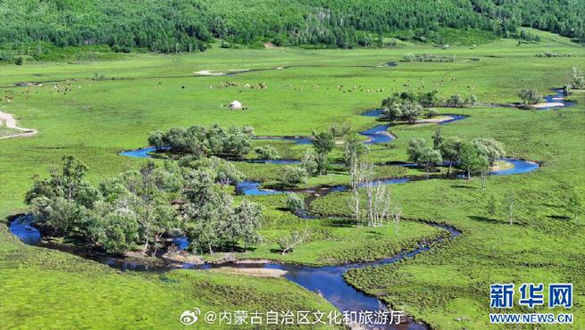 扎兰屯天气(扎兰屯天气预报下载)-第4张图片 扎兰屯天气(扎兰屯天气预报下载)-第4张图片