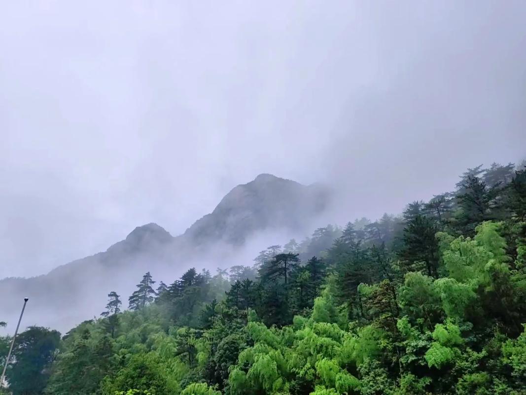 黄山风景区天气预报(黄山风景区天气预报30天准确率)-第4张图片 黄山风景区天气预报(黄山风景区天气预报30天准确率)-第4张图片