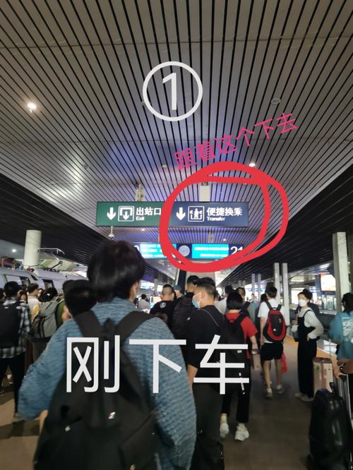 出行坐车的教程 - 出行坐车的教程视频-第3张图片 出行坐车的教程 - 出行坐车的教程视频-第3张图片