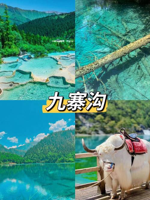 四川九寨沟天气预报 - 四川九寨沟天气预报15天景区天气情况-第3张图片 四川九寨沟天气预报 - 四川九寨沟天气预报15天景区天气情况-第3张图片