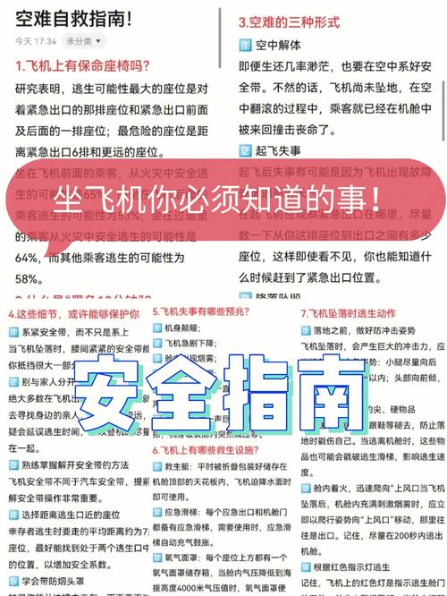 出行坐哪种飞机安全又便宜(出行坐哪种飞机安全又便宜些)-第4张图片 出行坐哪种飞机安全又便宜(出行坐哪种飞机安全又便宜些)-第4张图片