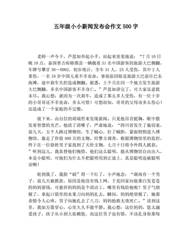 小小新闻发布会,小小新闻发布会怎么写-第3张图片 小小新闻发布会,小小新闻发布会怎么写-第3张图片