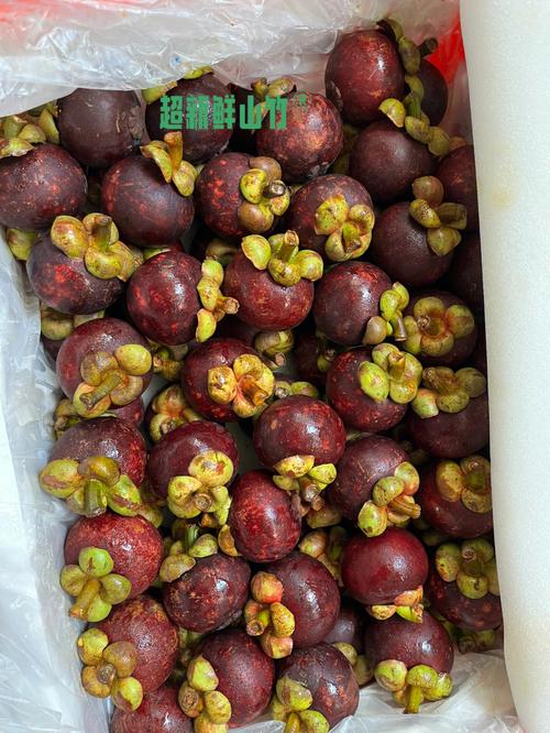 出行准备的水果,出门旅行带什么水果比较好-第4张图片 出行准备的水果,出门旅行带什么水果比较好-第4张图片
