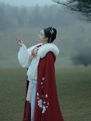 穿古装斗篷出行 - 穿斗篷的古代美女-第2张图片 穿古装斗篷出行 - 穿斗篷的古代美女-第2张图片