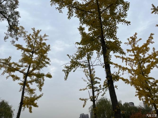 叙永天气 - 叙永天气15天预报查询-第3张图片