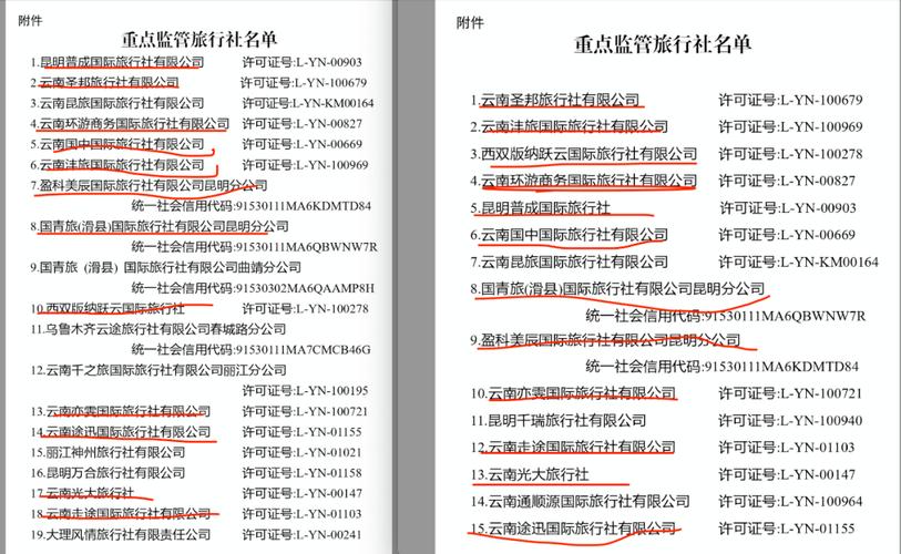 云南旅游公司(云南旅游公司招聘信息)-第2张图片 云南旅游公司(云南旅游公司招聘信息)-第2张图片