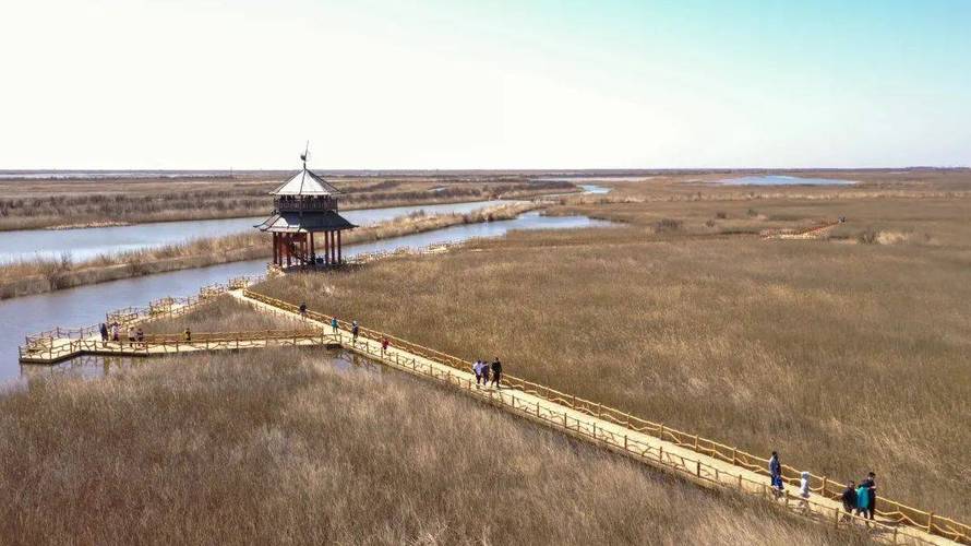 黄河口生态旅游风景区,黄河口生态旅游风景区几月份去比较好-第5张图片 黄河口生态旅游风景区,黄河口生态旅游风景区几月份去比较好-第5张图片