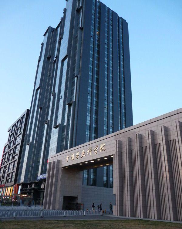 中国农科新闻网,中国农科新闻网投稿邮箱-第1张图片 中国农科新闻网,中国农科新闻网投稿邮箱-第1张图片