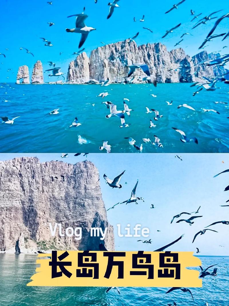 山东长岛天气预报30天 - 山东长岛天气预报30天查询结果-第1张图片 山东长岛天气预报30天 - 山东长岛天气预报30天查询结果-第1张图片