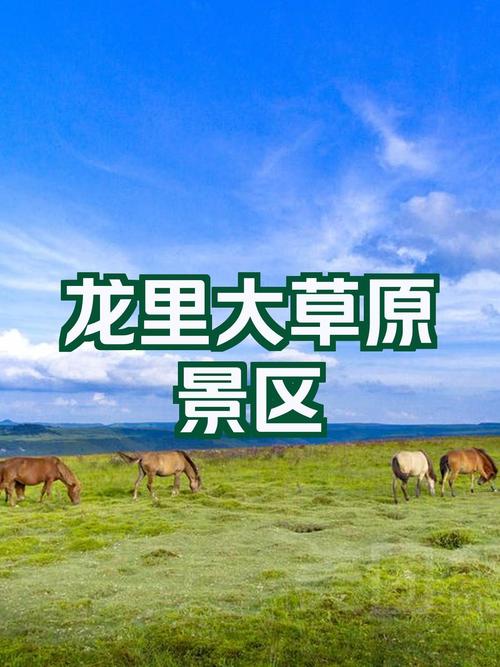 龙里大草原旅游攻略 - 龙里大草原旅游攻略自驾游-第1张图片 龙里大草原旅游攻略 - 龙里大草原旅游攻略自驾游-第1张图片