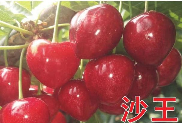 穆里尼奥的最新新闻 - 穆里尼奥的最新新闻罗马比赛-第7张图片 穆里尼奥的最新新闻 - 穆里尼奥的最新新闻罗马比赛-第7张图片