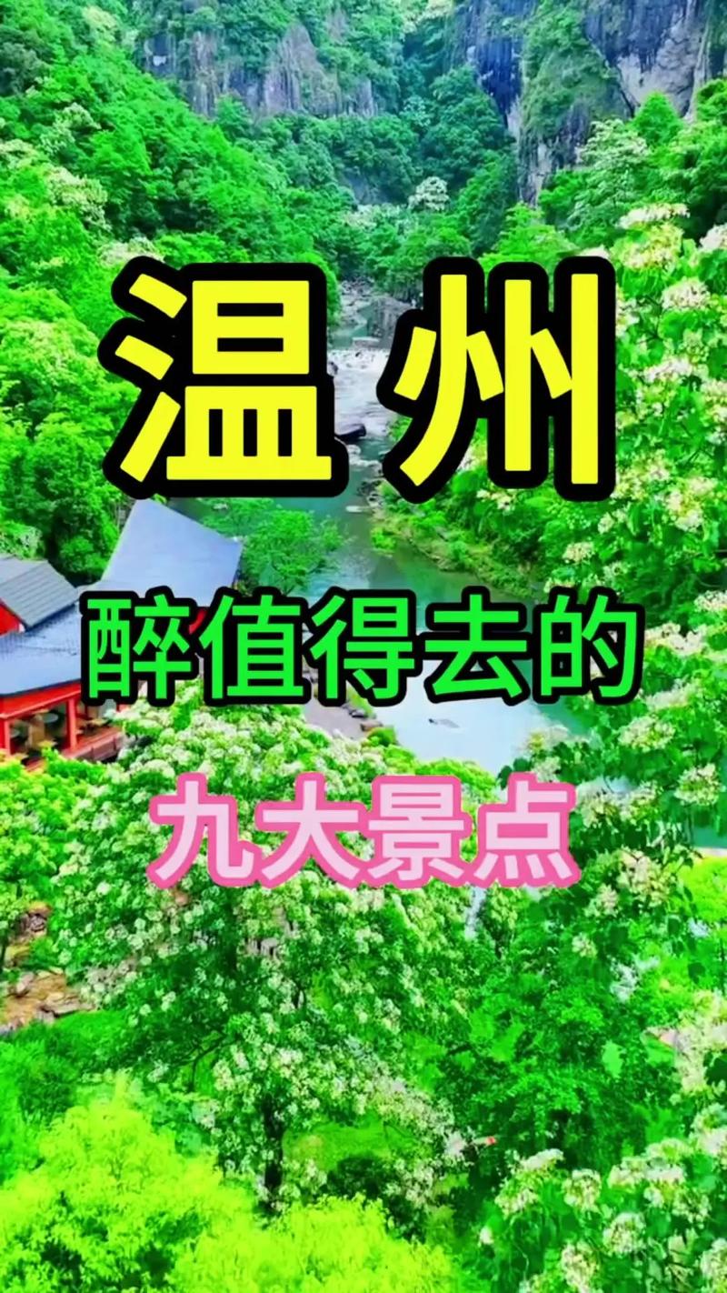 703804温州散讲新闻 - 703804散讲温卅-第6张图片