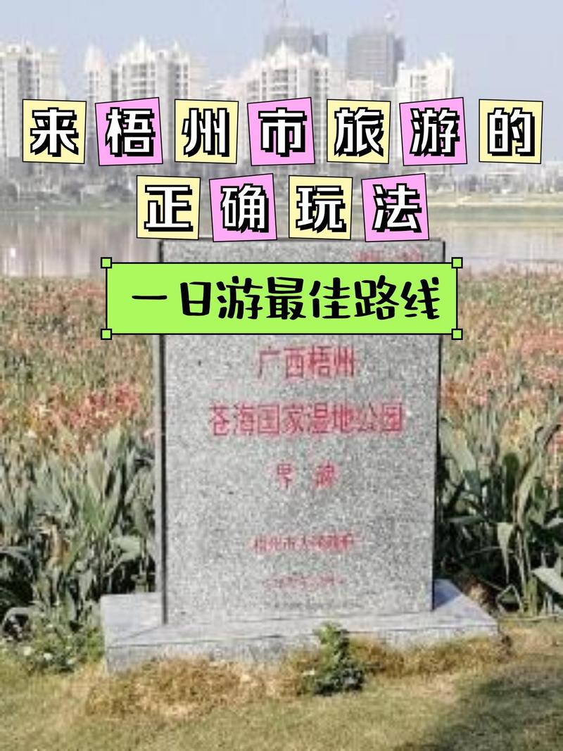 梧州旅游攻略 - 梧州旅游攻略必去景点5A景区-第1张图片 梧州旅游攻略 - 梧州旅游攻略必去景点5A景区-第1张图片