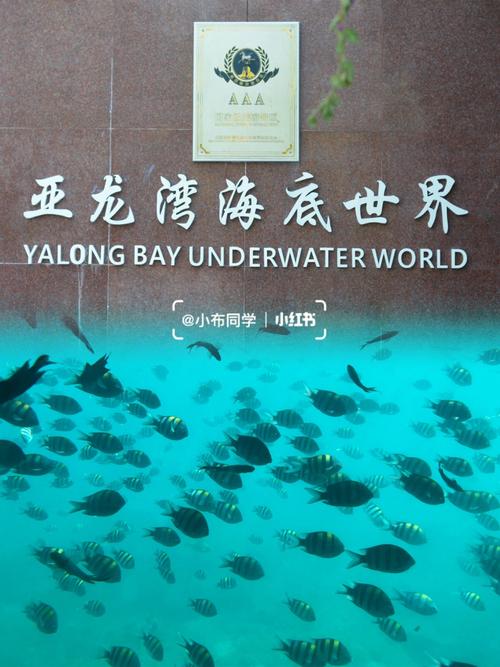 大连市文化和旅游局(大连市文化和旅游局局长马涛)-第8张图片 大连市文化和旅游局(大连市文化和旅游局局长马涛)-第8张图片