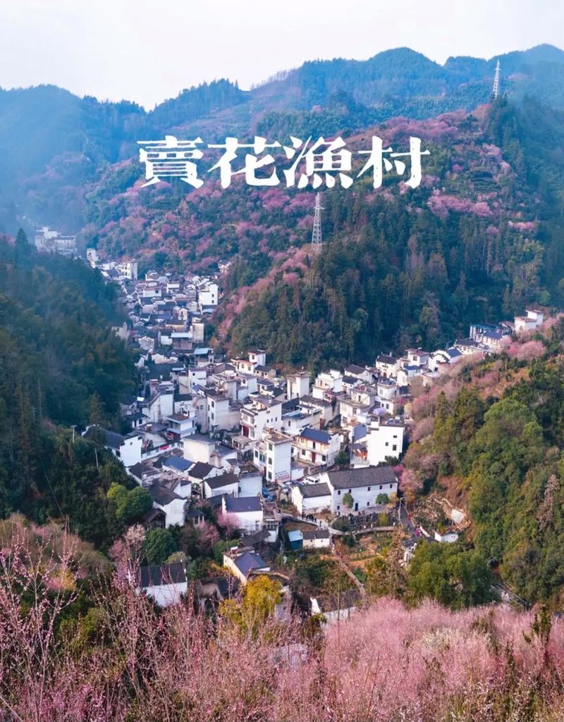 歙县旅游攻略 - 歙县旅游攻略景点必去-第5张图片