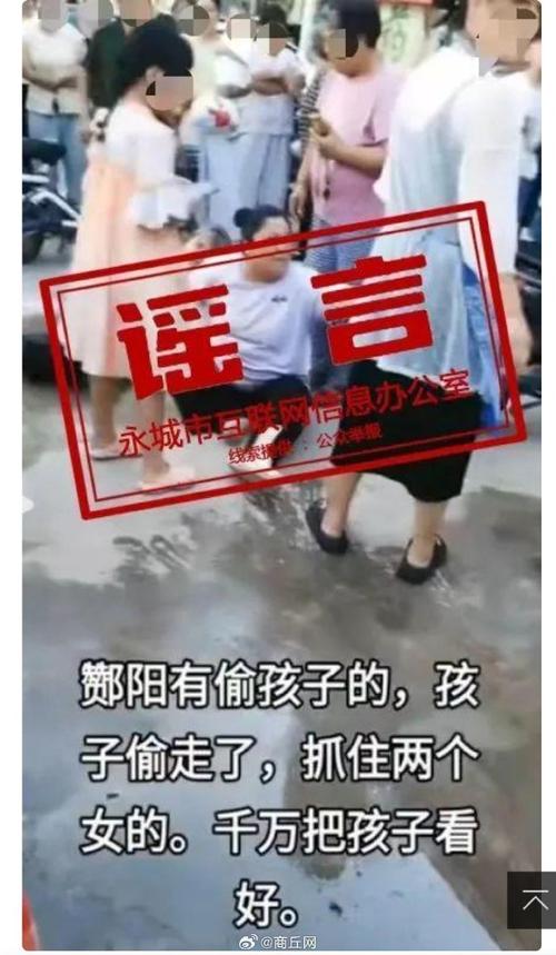 电白区最新新闻，电白最新事件-第5张图片
