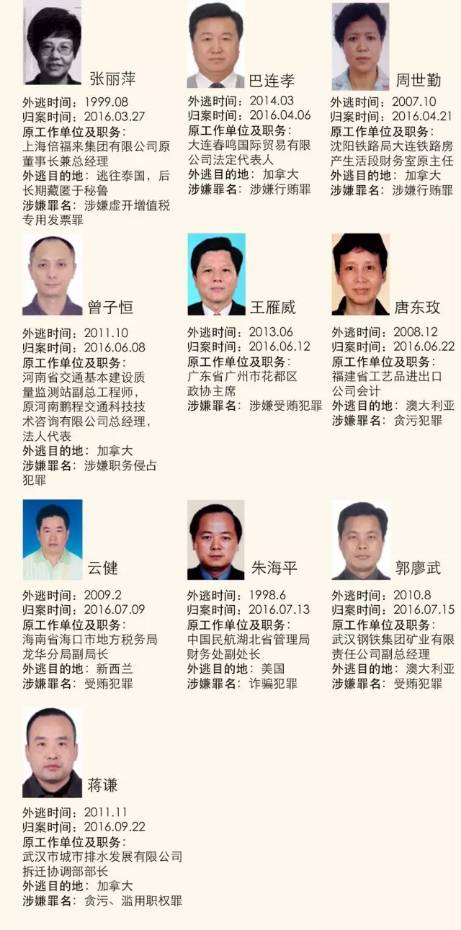 电白区最新新闻，电白最新事件-第6张图片